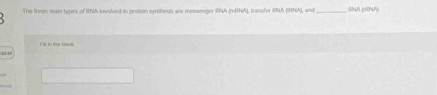 The thee main types of RNA involved in protein syntheuts are messenger RNA (mNA), transfer RNA (RNA), and _SNA DSNA 
Fill in lhe blank