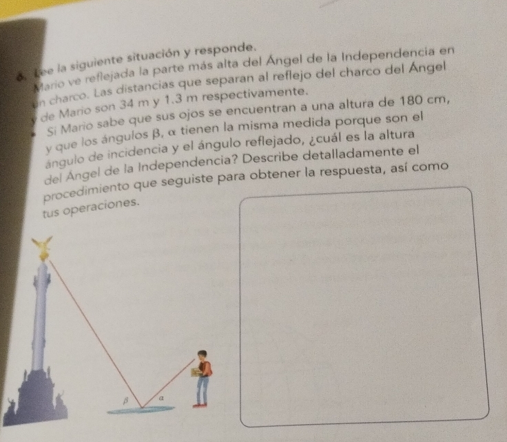 Lee la siguiente situación y responde. 
Mario ve reflejada la parte más alta del Ángel de la Independencia en 
en charco. Las distancias que separan al reflejo del charco del Ángel 
de Mario son 34 m y 1.3 m respectivamente. 
Si Mario sabe que sus ojos se encuentran a una altura de 180 cm, 
y que los ángulos β, α tienen la misma medida porque son el 
ángulo de incidencia y el ángulo reflejado, ¿cuál es la altura 
del Ángel de la Independencia? Describe detalladamente el 
procedimiento que seguiste para obtener la respuesta, así como 
tus operaciones.