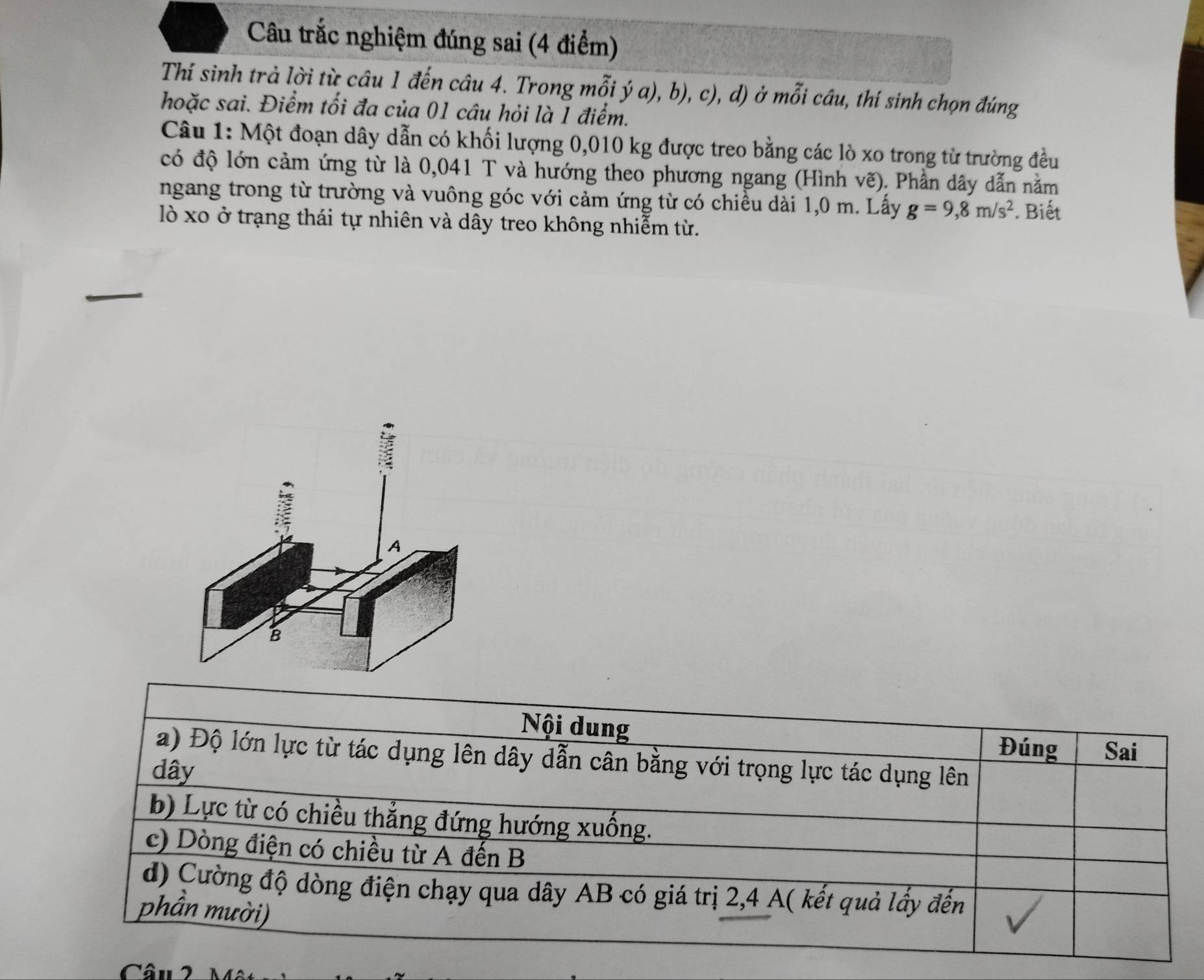 Câu trắc nghiệm đúng sai (4 điểm) 
Thí sinh trả lời từ câu 1 đến câu 4. Trong mỗi ý a), b), c), d) ở mỗi câu, thí sinh chọn đúng 
hoặc sai. Điểm tối đa của 01 câu hỏi là 1 điểm. 
Câu 1: Một đoạn dây dẫn có khối lượng 0,010 kg được treo bằng các lò xo trong từ trường đều 
có độ lớn cảm ứng từ là 0,041 T và hướng theo phương ngang (Hình vẽ). Phần dây dẫn nằm 
ngang trong từ trường và vuông góc với cảm ứng từ có chiều dài 1,0 m. Lấy g=9,8m/s^2. Biết 
lò xo ở trạng thái tự nhiên và dây treo không nhiễm từ. 
Câu 2