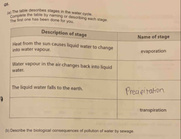 The table describes stages in the water cycle. 
Complete the table by naming or describing each stage 
The first one has been done for you. 
(b) Describe the biological consequences of pollution of water by sewage.