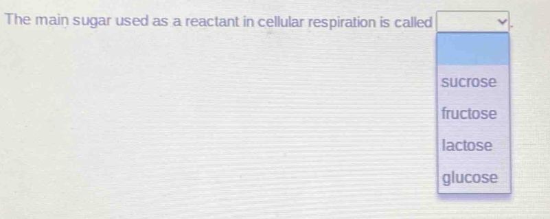 The main sugar used as a reactant in cellular respiration is called
sucrose
fructose
lactose
glucose