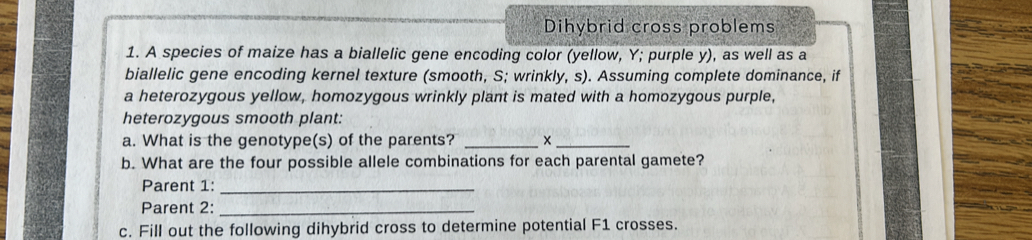 Dihybrid cross problems 
1. A species of maize has a biallelic gene encoding color (yellow, Y; purple y), as well as a 
biallelic gene encoding kernel texture (smooth, S; wrinkly, s). Assuming complete dominance, if 
a heterozygous yellow, homozygous wrinkly plant is mated with a homozygous purple, 
heterozygous smooth plant: 
a. What is the genotype(s) of the parents? _×_ 
b. What are the four possible allele combinations for each parental gamete? 
Parent 1:_ 
Parent 2:_ 
c. Fill out the following dihybrid cross to determine potential F1 crosses.