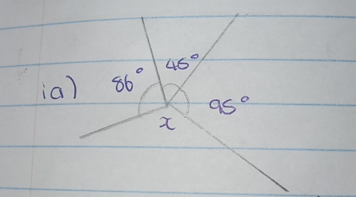 46°
(ia) 86°
95°
x