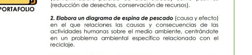 PORTAFOLIO (reducción de desechos, conservación de recursos). 
2. Elabora un diagrama de espina de pescado (causa y efecto) 
en el que relaciones las causas y consecuencias de las 
actividades humanas sobre el medio ambiente, centrándote 
en un problema ambiental específico relacionado con el 
reciclaje.