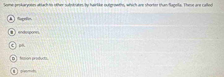 Some prokaryotes attach to other substrates by hairlike outgrowths, which are shorter than flagella. These are called
A flagellin.
B ) endospores.
Cpili,
D fission products.
E plasmids.