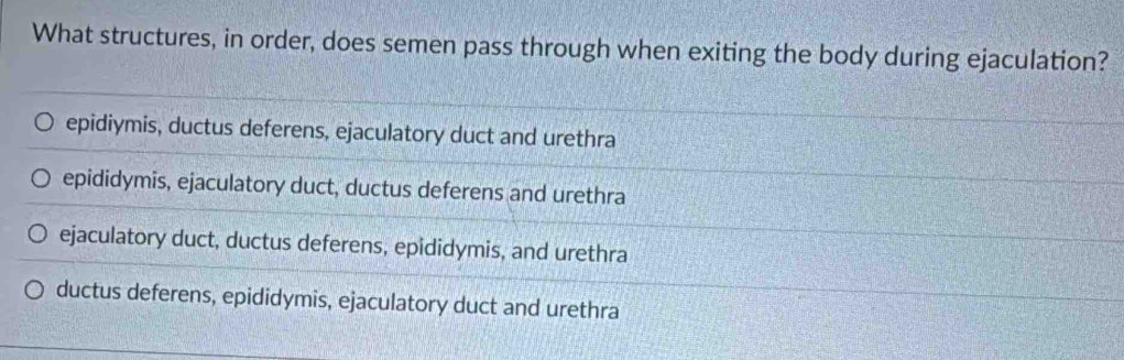 What structures, in order, does semen pass through when exiting the body during ejaculation?
epidiymis, ductus deferens, ejaculatory duct and urethra
epididymis, ejaculatory duct, ductus deferens and urethra
ejaculatory duct, ductus deferens, epididymis, and urethra
ductus deferens, epididymis, ejaculatory duct and urethra