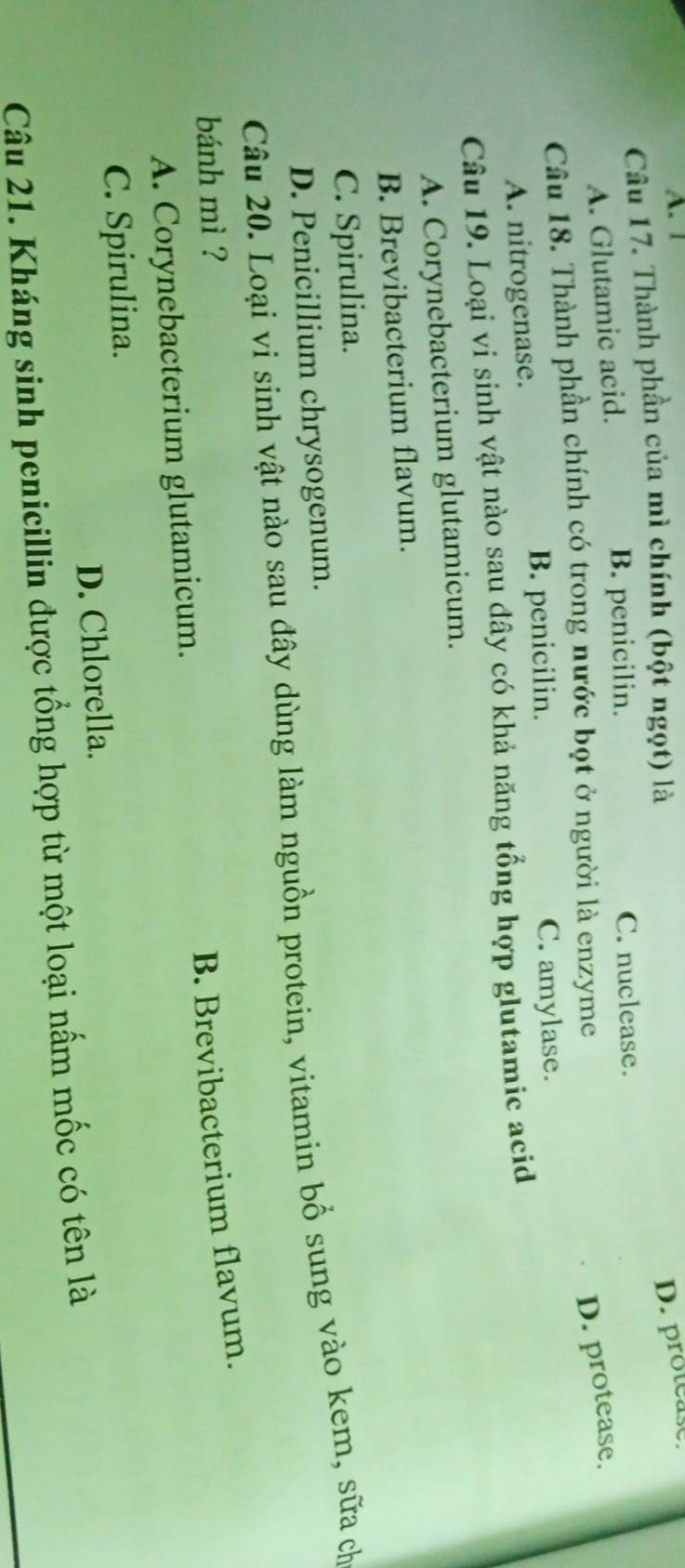 A. 1
Câu 17. Thành phần của mì chính (bột ngọt) là
D. protease
A. Glutamic acid. B. penicilin. C. nuclease.
Câu 18. Thành phần chính có trong nước bọt ở người là enzyme
D. protease.
B. penicilin. C. amylase.
A. nitrogenase.
Câu 19. Loại vi sinh vật nào sau đây có khả năng tổng hợp glutamic acid
A. Corynebacterium glutamicum.
B. Brevibacterium flavum.
C. Spirulina.
D. Penicillium chrysogenum.
Câu 20. Loại vi sinh vật nào sau đây dùng làm nguồn protein, vitamin bồ sung vào kem, sữa ch
bánh mì ? B. Brevibacterium flavum.
A. Corynebacterium glutamicum.
C. Spirulina.
D. Chlorella.
Câu 21. Kháng sinh penicillin được tổng hợp từ một loại nấm mốc có tên là