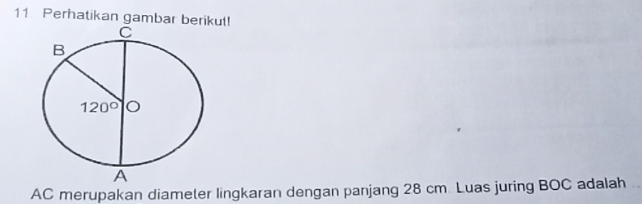 Perhatikan gambar berikut!
AC merupakan diameter lingkaran dengan panjang 28 cm Luas juring BOC adalah