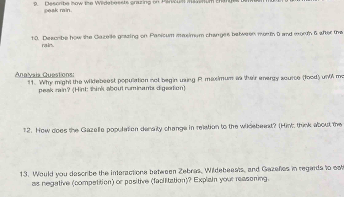 Describe how the Wildebeests grazing on Panicum maximum changes bet 
peak rain. 
10. Describe how the Gazelle grazing on Panicum maximum changes between month 0 and month 6 after the 
rain. 
Analysis Questions: 
11. Why might the wildebeest population not begin using P. maximum as their energy source (food) until mo 
peak rain? (Hint: think about ruminants digestion) 
12. How does the Gazelle population density change in relation to the wildebeest? (Hint: think about the 
13. Would you describe the interactions between Zebras, Wildebeests, and Gazelles in regards to eat 
as negative (competition) or positive (facilitation)? Explain your reasoning.