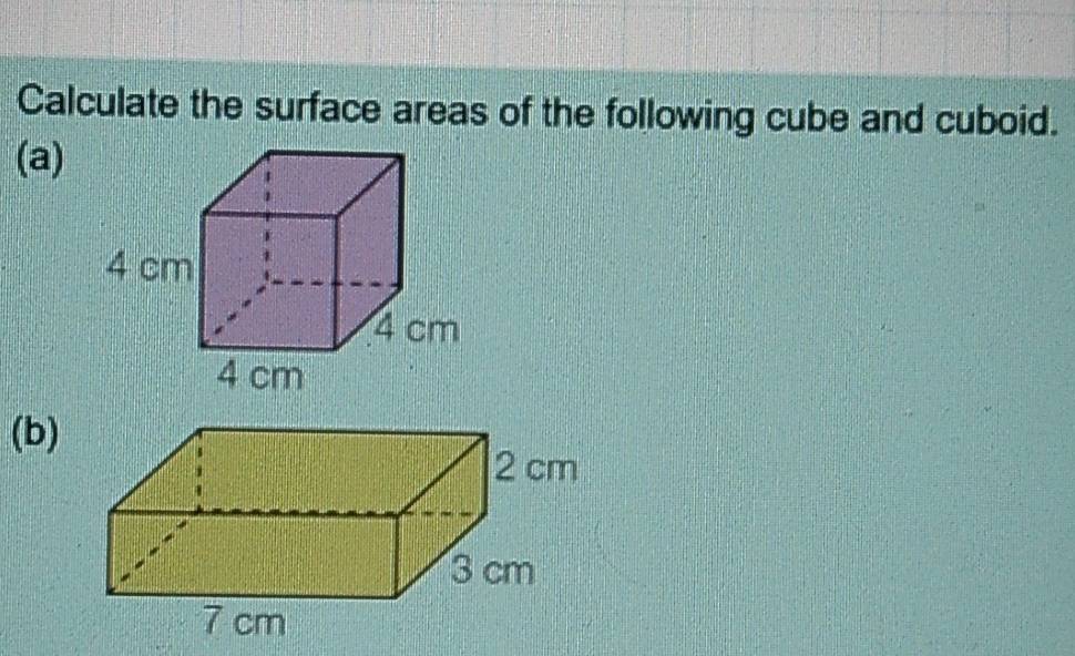 Calculate the surface areas of the following cube and cuboid. 
(a) 
(b)