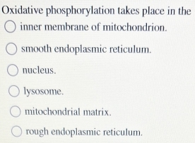 Oxidative phosphorylation takes place in the
inner membrane of mitochondrion.
smooth endoplasmic reticulum.
nucleus.
lysosome.
mitochondrial matrix.
rough endoplasmic reticulum.