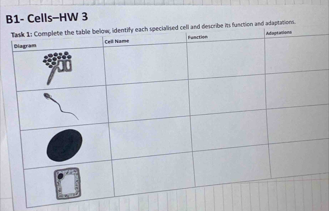 B1- Cells-HW 3 
ptations.