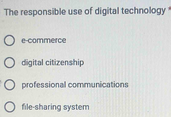 The responsible use of digital technology *
e-commerce
digital citizenship
professional communications
file-sharing system