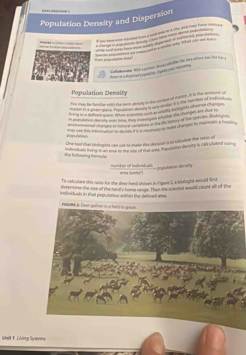 EXPLORATION ) 
Population Density and Dispersion 
If you have ever traveled from a rural area to a city, you may have noticed 
a change in population density. Cities have more dense populations 
while rural areas have more widely dispersed, or scattered, populations 
FIQURE 1: Urban cites have 
dense human populations 
Species populations are measured in a similar way. What can we learn 
from population data? 
Collaborate. With a partner, discuss whether the area where you live has a 
dense or a dispersed populatiso. Explain your reasoning. 
Population Density 
You may be familiar with the term density in the context of matter. It is the amount of 
matter in a given space. Population density is very similar: it is the number of individuals 
living in a defined space. When scientists such as wildlife biologists observe changes 
in population density over time, they investigate whether the changes are due to 
environmental changes or natural variations in the life history of the species. Biologists 
may use this information to decide if it is necessary to make changes to maintain a healthy 
population. 
One tool that biologists can use to make this decision is to calculate the ratio of 
individuals living in an area to the size of that area. Population density is calculated using 
the following formula: 
number of individuals 
population density 
area (units²) 
To calculate this ratip for the deer herd shown in Figure 2, a biologist would first 
determine the size of the herd's home range. Then the scientist would count all of the 
individuals in that population within the defined area. 
FIGUR 
Unit 1 Living Systems