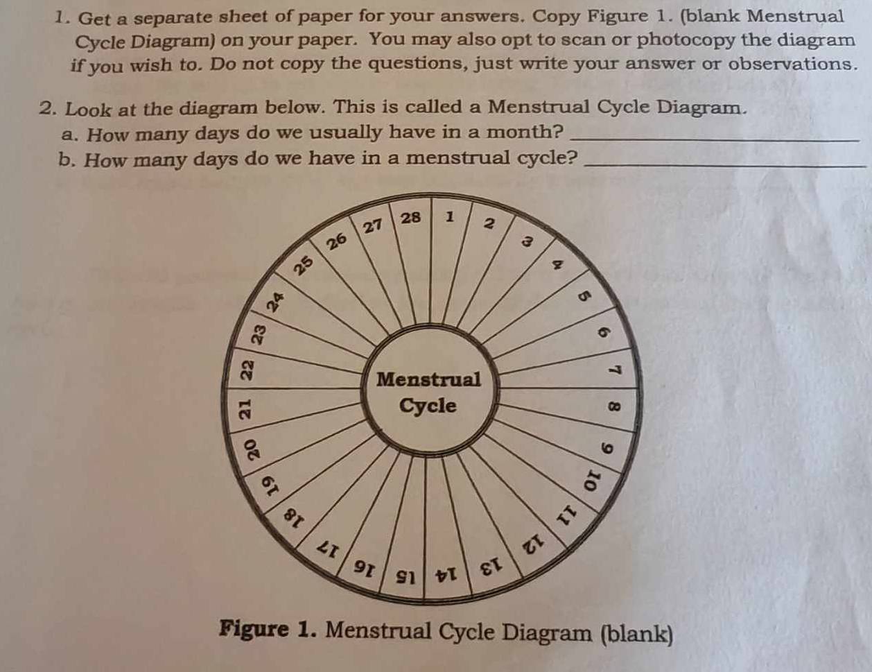 Get a separate sheet of paper for your answers. Copy Figure 1. (blank Menstrual 
Cycle Diagram) on your paper. You may also opt to scan or photocopy the diagram 
if you wish to. Do not copy the questions, just write your answer or observations. 
2. Look at the diagram below. This is called a Menstrual Cycle Diagram. 
a. How many days do we usually have in a month?_ 
b. How many days do we have in a menstrual cycle?_ 
Figure 1. Menstrual Cycle Diagram (blank)