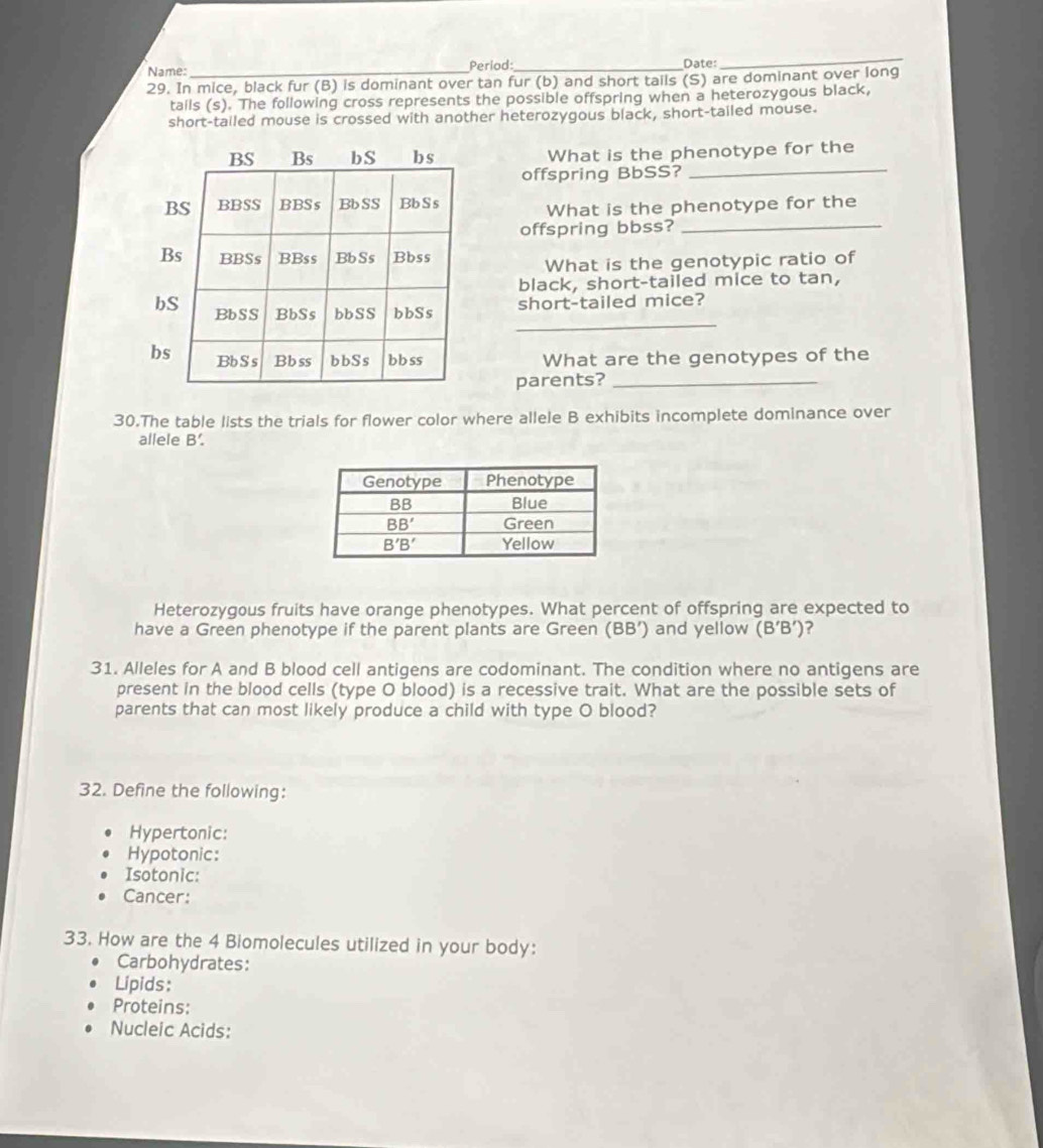 Name: _Period:_ Date:
_
29. In mice, black fur (B) is dominant over tan fur (b) and short tails (S) are dominant over long
tails (s). The following cross represents the possible offspring when a heterozygous black,
short-tailed mouse is crossed with another heterozygous black, short-tailed mouse.
_
What is the phenotype for the
offspring BbSS?
What is the phenotype for the
offspring bbss?_
What is the genotypic ratio of
black, short-tailed mice to tan,
_
short-tailed mice?
What are the genotypes of the
parents?_
30.The table lists the trials for flower color where allele B exhibits incomplete dominance over
allele B.
Heterozygous fruits have orange phenotypes. What percent of offspring are expected to
have a Green phenotype if the parent plants are Green (BB’) and yellow (B’B’)?
31. Alleles for A and B blood cell antigens are codominant. The condition where no antigens are
present in the blood cells (type O blood) is a recessive trait. What are the possible sets of
parents that can most likely produce a child with type O blood?
32. Define the following:
Hypertonic:
Hypotonic:
Isotonic:
Cancer:
33. How are the 4 Biomolecules utilized in your body:
Carbohydrates:
Lipids:
Proteins:
Nucleic Acids: