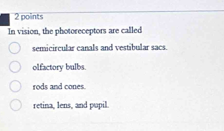 In vision, the photoreceptors are called
semicircular canals and vestibular sacs.
olfactory bulbs.
rods and cones.
retina, lens, and pupil.