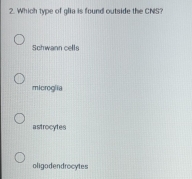 Which type of glia is found outside the CNS?
Schwann cells
microglia
astrocytes
oligodendrocytes