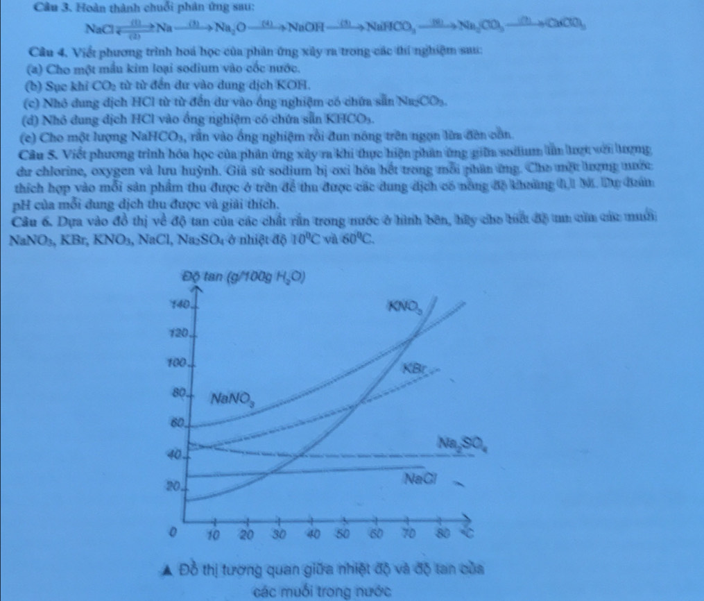 Hoàn thành chuỗi phân ứng sau:
NaClleftharpoons Nato Na_2Oto Na_2Oto NaOHxrightarrow (4)NaOHxrightarrow (1)NaHCO_3to NCl_3CO_3to Na_3to CaClO_3
Câu 4. Viềt phương trình hoá học của phản ứng xây ra trong các thí nghiệm sa:
(a) Cho một mẫu kim loại sodium vào cốc nước.
(b) Sục khí CO_2 từ từ đến dư vào dung dịch KOH.
(c) Nhỏ dung dịch HCl từ từ đến dư vào ổng nghiệm có chứa sẵn Na_2CO_3.
(d) Nhỏ dung dịch HCl vào ổng nghiệm có chứa sẵn KHCO₃.
(c) Cho một lượng NaHCO₃, rần vào ống nghiệm rồi đun nông trên ngọn lữa đền vòn
Câu 5. Viết phương trình hóa học của phân ứng xây ra khi thực hiện phân ứng giữm sodum ln lược với ượng
du chlorine, oxygen và lưu huỳnh. Giả sử sodium bị ơxi hóa hết trong mỗi phần ứng. Cho một ượng nước
thích hợp vào mỗi sản phẩm thu được ở trên để thu được các dung địch có nông độ khưàng h,1 M. Dự đưân
pH của mỗi dung dịch thu được và giải thích.
Câu 6. Dựa vào đồ thị về độ tan của các chất rấn trong nước ở hình bên, hữy cho biấ độ tn củm các mui
NaNO_3,KBr,KNO_3,NaCl,Na_2SO_4 ở nhiệt độ 10°C và 60°C.
A Đỗ thị tương quan giữa nhiệt độ và độ tan của
các muối trong nước