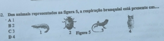 Dos animais representados na figura 5, a respiração branquial está presente em...
A 1
B 2
C 3 1
D 4 2 Figura 5 .3 4