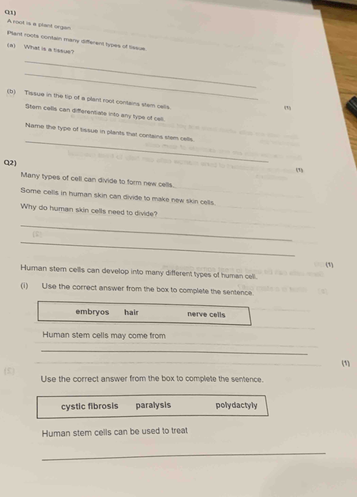 Q1)
A root is a plant organ
Plant roots contain many different types of tissue.
(a) What is a tissue?
_
_
(b) Tissue in the tip of a plant root contains stem cells.
(1)
Stem cells can differentiate into any type of cell.
_
Name the type of tissue in plants that contains stem cells.
Q2) (1)
Many types of cell can divide to form new cells.
Some cells in human skin can divide to make new skin cells,
_
Why do human skin cells need to divide?
_
_
_
(1)
Human stem cells can develop into many different types of human cell.
(i) Use the correct answer from the box to complete the sentence.
embryos hair nerve cells
Human stem cells may come from
_
_
_
_
(1)
Use the correct answer from the box to complete the sentence.
cystic fibrosis paralysis polydactyly
Human stem cells can be used to treat
_