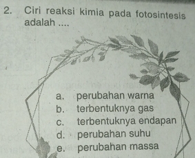 Ciri reaksi kimia pada fotosintesis
adalah ....
a. perubahan warna
b. terbentuknya gas
c. terbentuknya endapan
d. perubahan suhu
e. perubahan massa