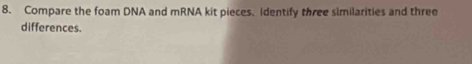 Compare the foam DNA and mRNA kit pieces. Identify three similarities and three 
differences.