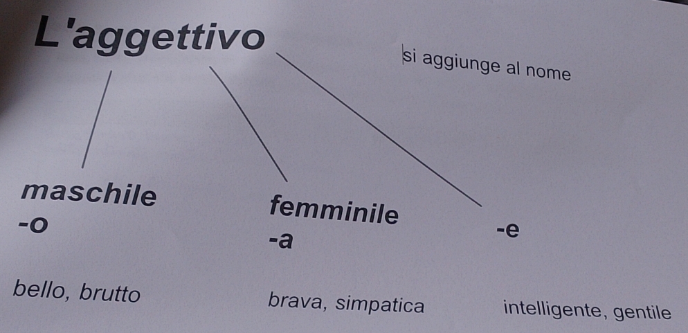 L'aggettivo
si aggiunge al nome
maschile femminile
-0
-a
-e
bello, brutto brava, simpatica intelligente, gentile