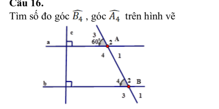 Cầu 16.
Tìm số đo góc widehat B_4 , góc widehat A_4 trên hình vẽ