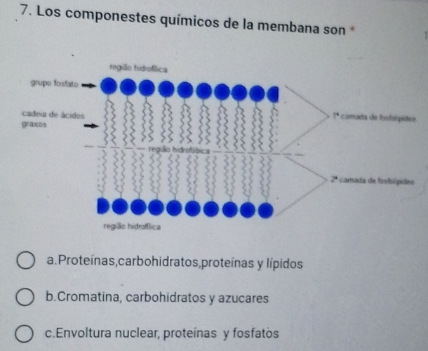 Los componestes químicos de la membana son*
a. Proteínas,carbohidratos,proteínas y lípidos
b.Cromatina, carbohidratos y azucares
c.Envoltura nuclear, proteínas y fosfatos