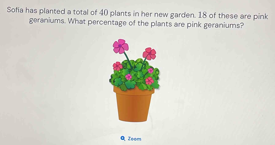 Sofia has planted a total of 40 plants in her new garden. 18 of these are pink 
geraniums. What percentage of the plants are pink geraniums? 
Zoom