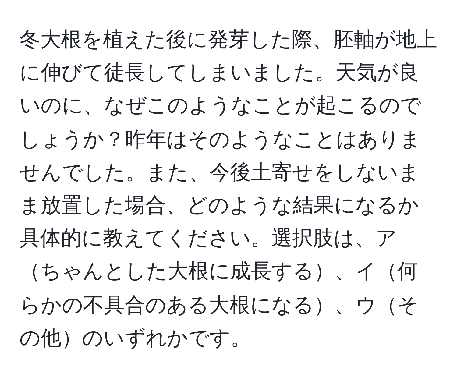 冬大根を植えた後に発芽した際、胚軸が地上に伸びて徒長してしまいました。天気が良いのに、なぜこのようなことが起こるのでしょうか？昨年はそのようなことはありませんでした。また、今後土寄せをしないまま放置した場合、どのような結果になるか具体的に教えてください。選択肢は、アちゃんとした大根に成長する、イ何らかの不具合のある大根になる、ウその他のいずれかです。