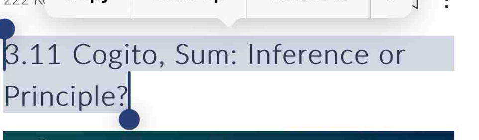 β.11 Cogito, Sum: Inference or 
Principle?