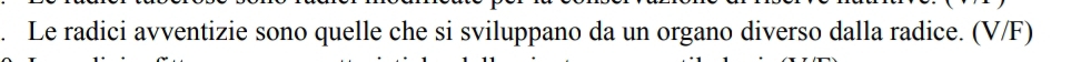 Le radici avventizie sono quelle che si sviluppano da un organo diverso dalla radice. (V/F)