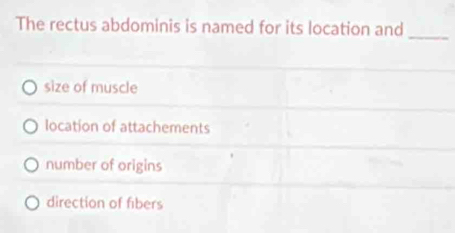 The rectus abdominis is named for its location and
_
size of muscle
location of attachements
number of origins
direction of fibers