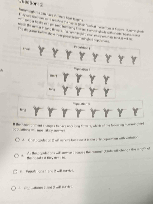 Hummingbirds can have different beak lengths.
They use their beaks to reach to the nectar (their food) at the bottomn of flowers. Hummingbirds
with longer beaks can get food from long flowers. Hummingbirds with shorter beaks cannot
reach the nectar in long flowers. If a hummingbird can't easily reach its food, it will die.
The diagrarns below show three possible hummingbird populations.
short
Population 1
:h
Population 2
short
long
Population 3
long
If their environment changes to have only long flowers, which of the following hummingbird
populations will most likely survive?
A. Only population 2 will survive because it is the only population with variation.
All the populations will survive because the hummingbirds will change the length of
8. their beaks if they need to.
6. Populations 1 and 2 will survive.
b. Populations 2 and 3 will survive.