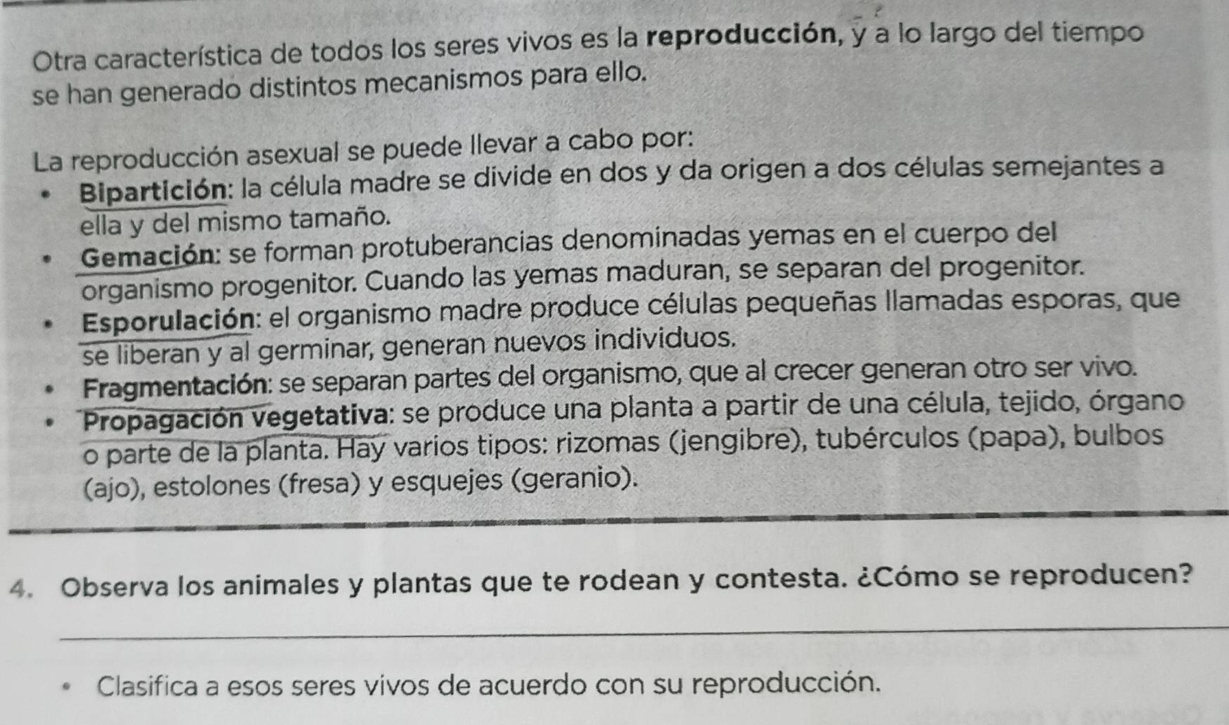 Otra característica de todos los seres vivos es la reproducción, y a lo largo del tiempo
se han generado distintos mecanismos para ello.
La reproducción asexual se puede llevar a cabo por:
Bipartición: la célula madre se divide en dos y da origen a dos células semejantes a
ella y del mismo tamaño.
Gemación: se forman protuberancias denominadas yemas en el cuerpo del
organismo progenitor. Cuando las yemas maduran, se separan del progenitor.
Esporulación: el organismo madre produce células pequeñas llamadas esporas, que
se liberan y al germinar, generan nuevos individuos.
Fragmentación: se separan partes del organismo, que al crecer generan otro ser vivo.
Propagación vegetativa: se produce una planta a partir de una célula, tejido, órgano
o parte de la planta. Hay varios tipos: rizomas (jengibre), tubérculos (papa), bulbos
(ajo), estolones (fresa) y esquejes (geranio).
4. Observa los animales y plantas que te rodean y contesta. ¿Cómo se reproducen?
_
Clasifica a esos seres vivos de acuerdo con su reproducción.