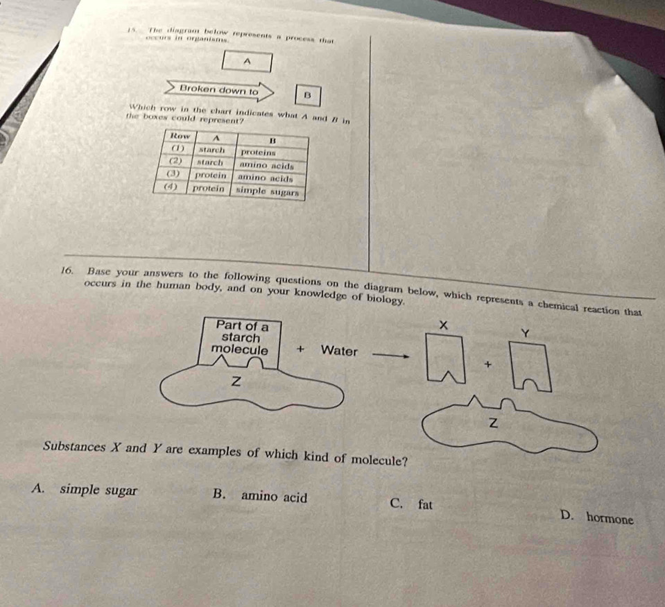 The diagrant below represents a process that
occurs in organisms.
A
Broken down to B
Which row in the chart indicates what A and B in
a
the boxes could represent?
16. Base your answers to the following questions on the diagram below, which represents a chemical reaction that
occurs in the human body, and on your knowledge of biology.
x Y
+
Z
Substances X and Y are examples of which kind of molecule?
A. simple sugar B. amino acid C. fat
D. hormone