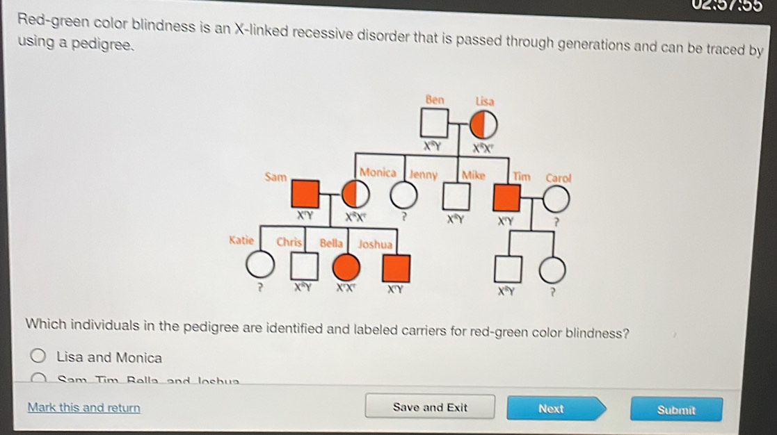 02:57:55
Red-green color blindness is an X-linked recessive disorder that is passed through generations and can be traced by
using a pedigree.
Which individuals in the pedigree are identified and labeled carriers for red-green color blindness?
Lisa and Monica
Sam Tim Rella and loshua
Mark this and return Save and Exit Next Submít