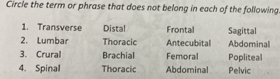 Circle the term or phrase that does not belong in each of the following
1. Transverse Distal Frontal Sagittal
2. Lumbar Thoracic Antecubital Abdominal
3. Crural Brachial Femoral Popliteal
4. Spinal Thoracic Abdominal Pelvic