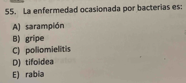 La enfermedad ocasionada por bacterias es:
A) sarampión
B) gripe
C) poliomielitis
D) tifoidea
E) rabia