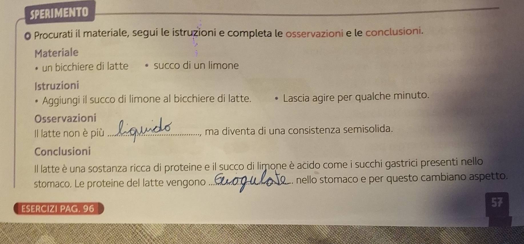 SPERIMENTO 
a Procurati il materiale, segui le istruzioni e completa le osservazioni e le conclusioni. 
Materiale 
un bicchiere di latte succo di un limone 
Istruzioni 
Aggiungi il succo di limone al bicchiere di latte. Lascia agire per qualche minuto. 
Osservazioni 
Il latte non è più _, ma diventa di una consistenza semisolida. 
Conclusioni 
Il latte è una sostanza ricca di proteine e il succo di limone è acido come i succhi gastrici presenti nello 
stomaco. Le proteine del latte vengono _. nello stomaco e per questo cambiano aspetto. 
ESERCIZI PAG. 96 
57