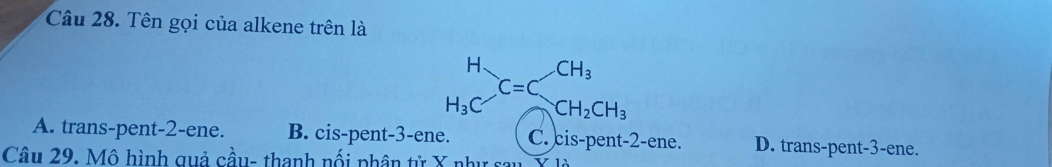 Tên gọi của alkene trên là
beginarrayr H H_3C=CH_3
A. trans-pent -2 -ene. B. cis-pent -3 -ene. C. cis-pent -2 -ene. D. trans-pent -3 -ene.
Câu 29. Mô hình quả cầu- thanh nối phân tử X như sau. X là