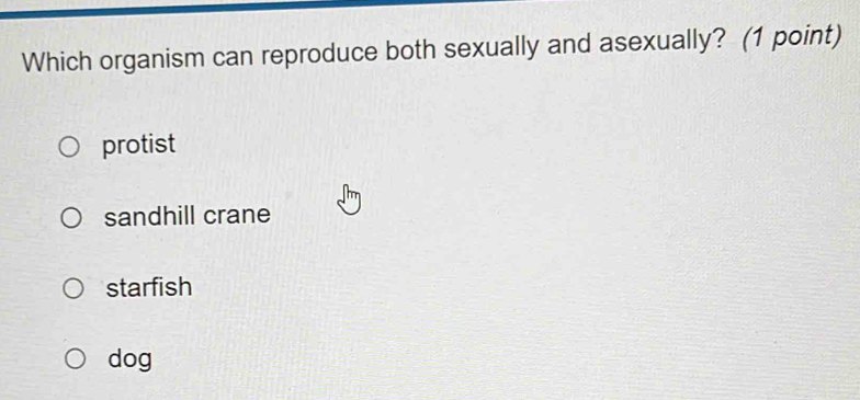 Which organism can reproduce both sexually and asexually? (1 point)
protist
sandhill crane
starfish
dog