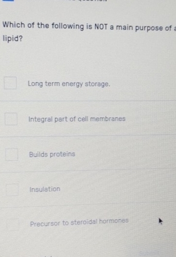 Which of the following is NOT a main purpose of 
lipid?
Long term energy storage.
Integral part of cell membranes
Builds proteins
Insulation
Precursor to steroidal hormones