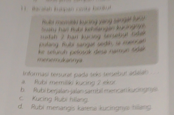 Bacalah kumpan centa benk 
Rubi memitiki kuring yang sangal lury
Suaty hạn Rubi kchilangan kỳcingnya
sudah 2 hari kycing tersebut tida .
pulang. Rubi sangat sedih, is mencan
ke seluruh pelosok desa namun tidak 
menemukannya
Informasi tersurat pada teks tersebut adaiah
a. Rubi memiliki kucing 2 ekor
b. Rubi berjalan-jalan sambil mencari kucingny a
c. Kucing Rubi hilang.
d. Rubi menangis karena kucingnya hilang.