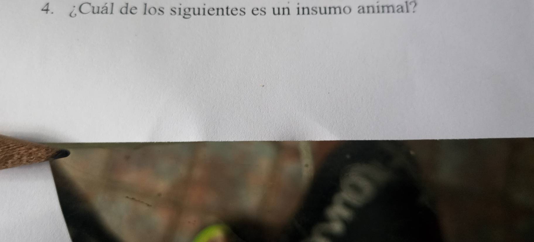 ¿Cuál de los siguientes es un insumo animal?