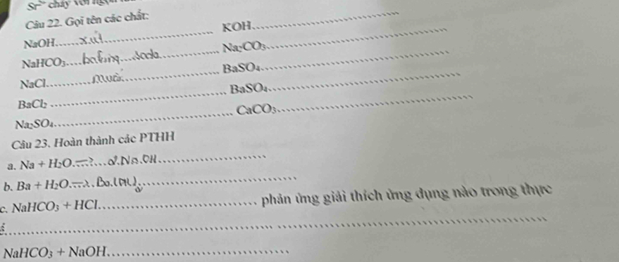 cháy vớn n 
Câu 22. Gọi tên các chất: 
NaOH._ KOH._ 
_
Na_2CO
__ 
Nal ICO_3
_ 
_ 
NaCl _ Mờ_ BaSO_4 _
BaSO_4
BaCl₂
CaCO_3
NaSO 
_ 
Câu 23. Hoàn thành các PTHH 
_ 
a. Na+H_2O. _Na.0H 
_ 
b. Ba+H_2O... 
_ 
C. NaHCO_3+HCl _ phản ứng giải thích ủng dụng nào trong thực 
; 
_ NaHCO_3+NaOH