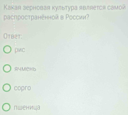 Какая зерновая культура является самой
pаспространённой в Ρоссии?
Otbet:
pиc
A4MeHb
copro
пwеница