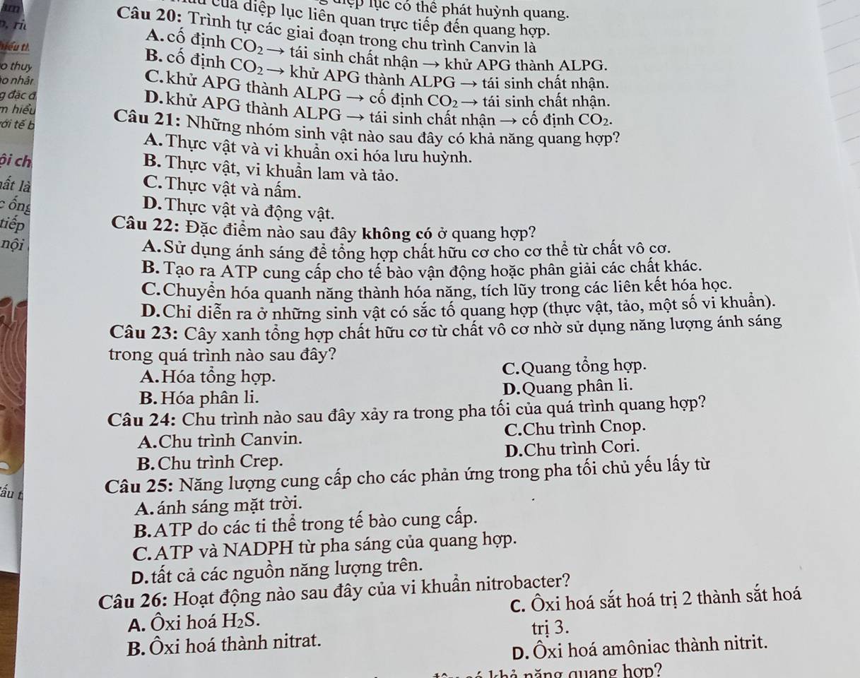 tệp lục có thể phát huỳnh quang.
lu của diệp lục liên quan trực tiếp đến quang hợp.
, ri
Câu 20: Trình tự các giai đoạn trong chu trình Canvin là
A. cố định CO_2 → tái sinh chất nhận → khử APG thành ALPG.
niểu tì B. cố định CO_2
o thuy → khử APG thành ALPG → tái sinh chất nhận.
o nhân
C.khử APG thành ALPG → cố định CO_2
g đặc đ → tái sinh chất nhận.
m hiểu
D.khử APG thành ALPG → tái sinh chất nhận → cố định CO_2.
tới tế b
Câu 21: Những nhóm sinh vật nào sau đây có khả năng quang hợp?
A.Thực vật và vi khuẩn oxi hóa lưu huỳnh.
ội ch B. Thực vật, vi khuẩn lam và tảo.
lất là C. Thực vật và nấm.
c ổng
D. Thực vật và động vật.
tiếp  Câu 22: Đặc điểm nào sau đây không có ở quang hợp?
nội
A.Sử dụng ánh sáng để tổng hợp chất hữu cơ cho cơ thể từ chất vô cơ.
B. Tạo ra ATP cung cấp cho tế bào vận động hoặc phân giải các chất khác.
C.Chuyển hóa quanh năng thành hóa năng, tích lũy trong các liên kết hóa học.
D.Chi diễn ra ở những sinh vật có sắc tố quang hợp (thực vật, tảo, một số vi khuẩn).
Câu 23: Cây xanh tổng hợp chất hữu cơ từ chất vô cơ nhờ sử dụng năng lượng ánh sáng
trong quá trình nào sau đây?
A.Hóa tổng hợp. C.Quang tổng hợp.
B. Hóa phân li. D.Quang phân li.
Câu 24: Chu trình nào sau đây xảy ra trong pha tối của quá trình quang hợp?
A.Chu trình Canvin. C.Chu trình Cnop.
B.Chu trình Crep. D.Chu trình Cori.
lấu t
Câu 25: Năng lượng cung cấp cho các phản ứng trong pha tối chủ yếu lấy từ
A ánh sáng mặt trời.
B.ATP do các ti thể trong tế bào cung cấp.
C.ATP và NADPH từ pha sáng của quang hợp.
D. tất cả các nguồn năng lượng trên.
Câu 26: Hoạt động nào sau đây của vi khuẩn nitrobacter?
A. Ôxi hoá H₂S. C. Ôxi hoá sắt hoá trị 2 thành sắt hoá
trị 3.
B. Ôxi hoá thành nitrat.
D.Ôxi hoá amôniac thành nitrit.
ch   n ă ng quang hợp?
